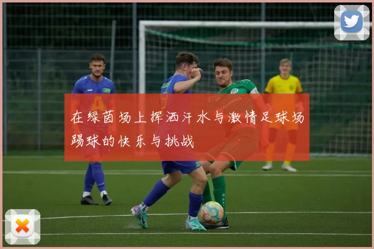 在绿茵场上挥洒汗水与激情足球场踢球的快乐与挑战