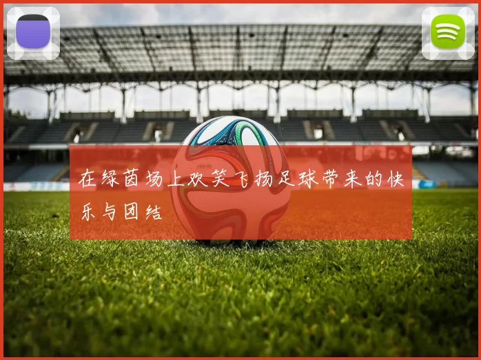 在绿茵场上欢笑飞扬足球带来的快乐与团结
