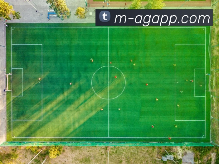 AG真人平台平台生态图